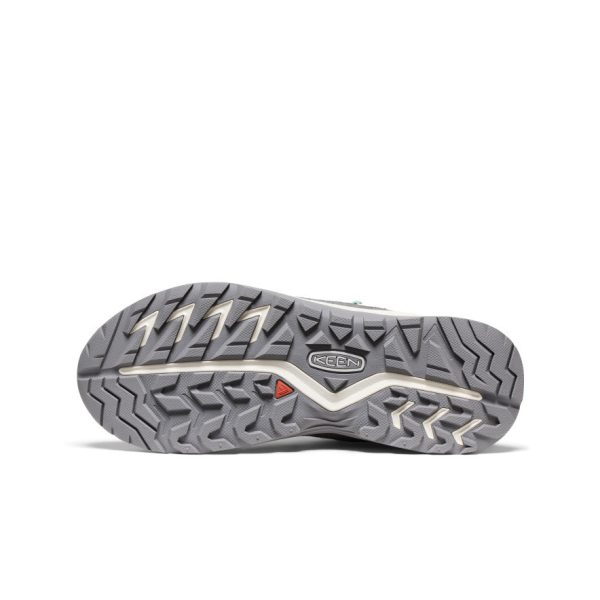 Women's Hightrail Waterproof Hiking Boot  |  Alloy/Lichen
