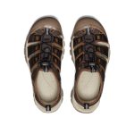 Men's Newport H2 Sandal | Java/Golden Yellow