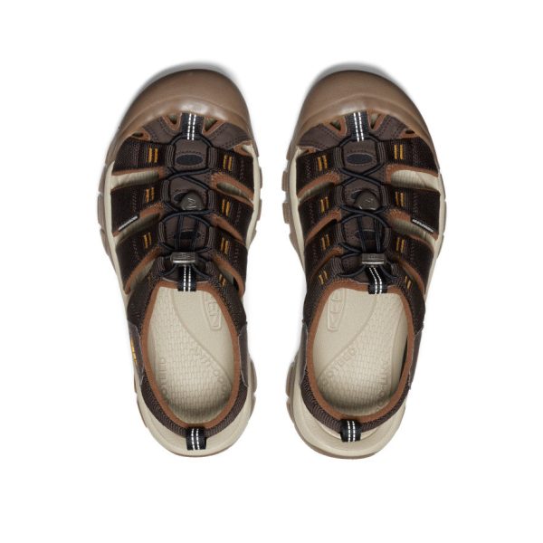 Men's Newport H2 Sandal | Java/Golden Yellow