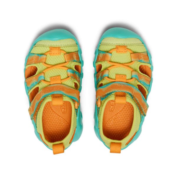 Toddlers' Hyperport H2 Sandal  |  Destination Pack