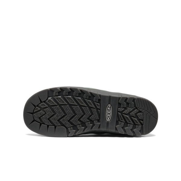 Women's Jasper Rocks Sneaker  |  Lily Pad/Cameo Rose