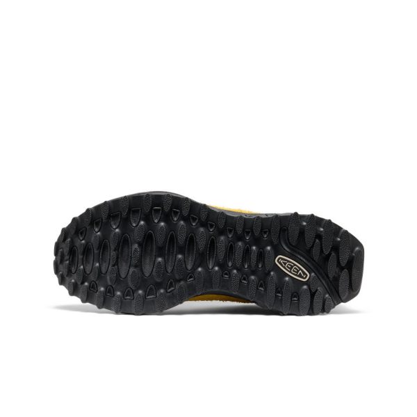 Men's Jasper Zionic Sneaker  |  Lemon Curry/Naval Academy