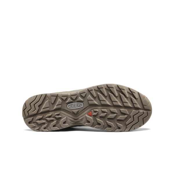 Men's Hightrail EXP Waterproof | Lily Pad/Birch